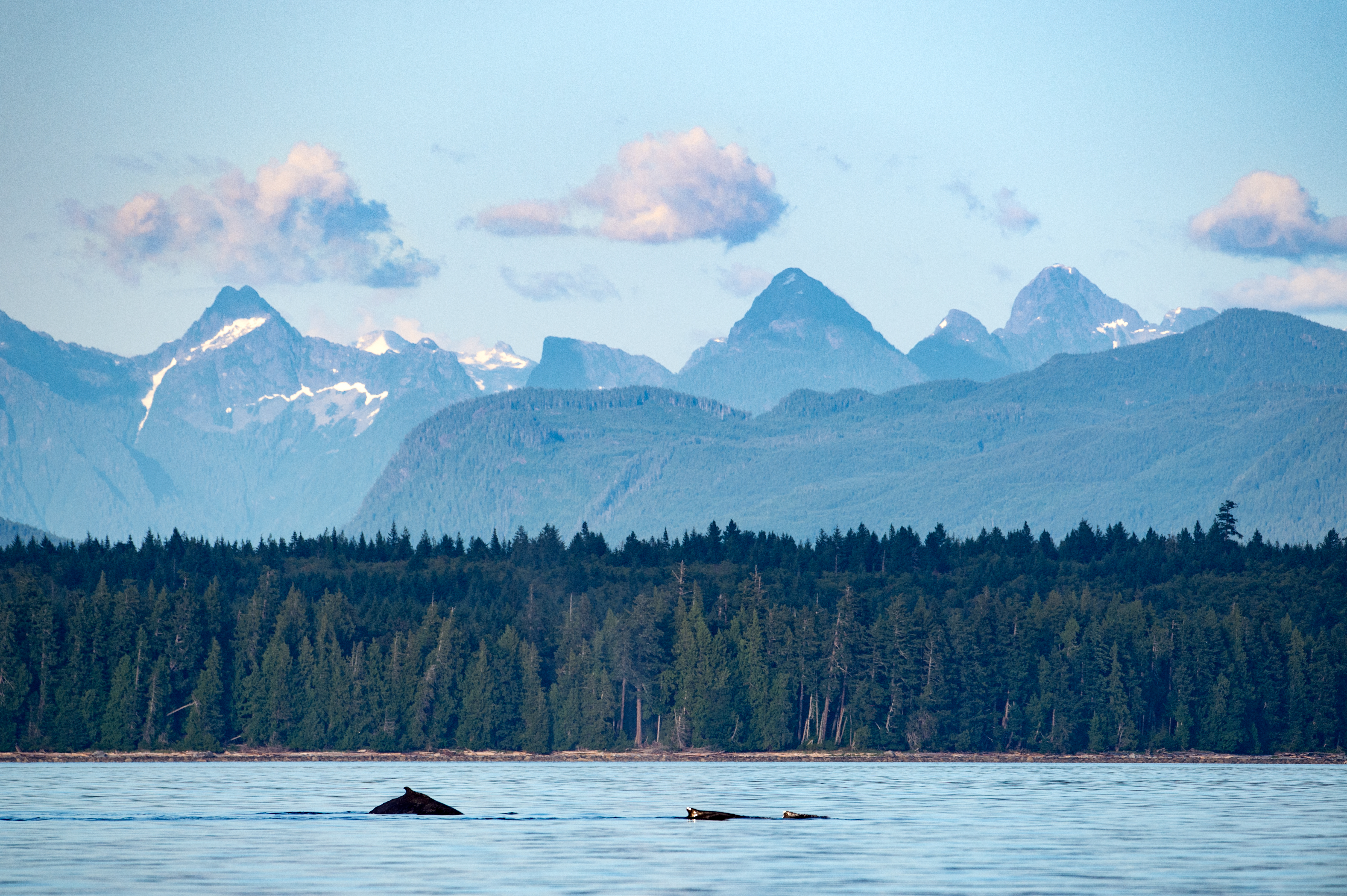 Best Time to Visit Alaska: Your Guide to Cruises & Adventures Best Time to Visit Alaska: Your Guide to Cruises & Adventures