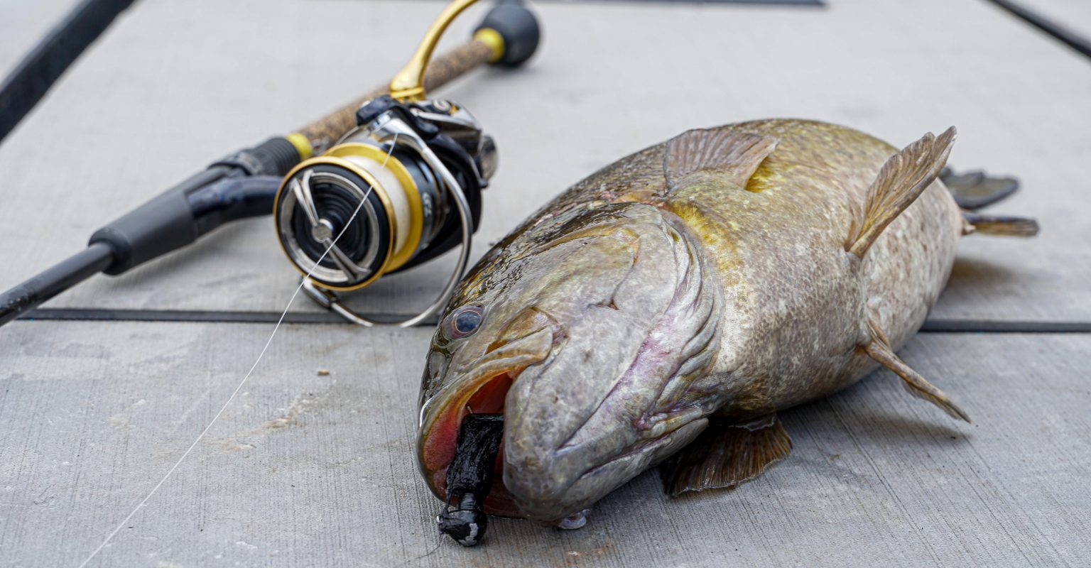 Tie and Fish Hair Jigs for Spring Bass: Tackle, Techniques, and Tour Options