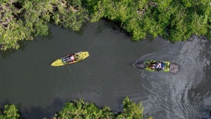 Fort Myers a okolité ostrovy: Destinácia, ktorú si milovníci prírody musia pozrieť