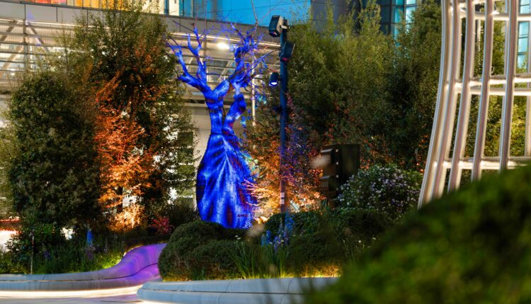 Prozkoumávání Henderson Art Garden: Umělecká a ekologicky uvědomělá destinace