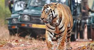 Jharkhand sa pripravuje spustiť svoje prvé tigrie safari neďaleko Národného parku Betla