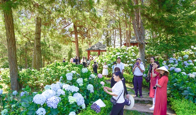 Zažite Mesiac turizmu v provincii Lâm Đồng s rôznorodými kultúrnymi podujatiami a ponukami Zažite Mesiac turizmu v provincii Lâm Đồng s rôznorodými kultúrnymi podujatiami a ponukami