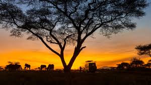 Kukrail Night Safari an Wildlife Sanctuary-gbɔŋ ŋɔŋlɔŋ lʋŋlɔŋ gbɔŋ Lucknow tɔŋ: Ʋeŋu Ecotourism nu gbegbɔŋ yeye. Kukrail Night Safari an Wildlife Sanctuary-gbɔŋ ŋɔŋlɔŋ lʋŋlɔŋ gbɔŋ Lucknow tɔŋ: Ʋeŋu Ecotourism nu gbegbɔŋ yeye.