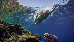 تتعاون SwimTrek مع مؤسسة لويس بوغ للدفاع عن حماية المحيطات تتعاون SwimTrek مع مؤسسة لويس بوغ للدفاع عن حماية المحيطات