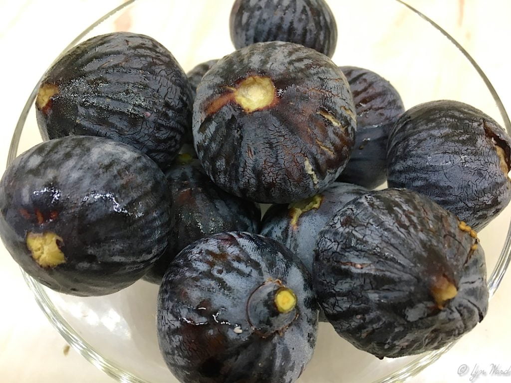 ডুমুরের অবিশ্বাস্য জগৎ: একটি তুর্কি আনন্দ