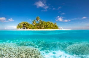 Priekopnícka obnova koralových útesov v W Maldives so spoločnosťou Mars Sustainable Solutions Priekopnícka obnova koralových útesov v W Maldives so spoločnosťou Mars Sustainable Solutions